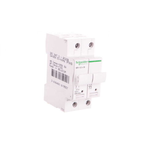 Zylindrischer Sicherungsschalter 2P 10x38mm STI A9N15651